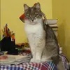 Отзыв от Ираида Дегтярева